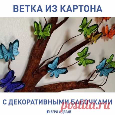(3) Facebook