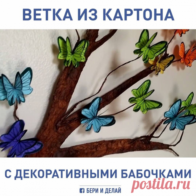 (3) Facebook
