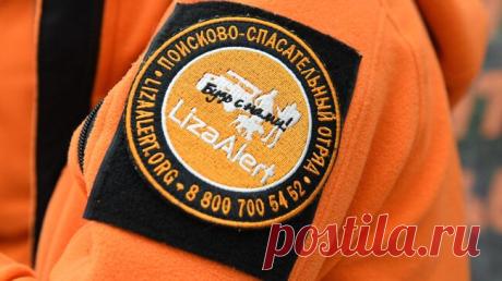 Брата и сестру, пропавших в Карелии, нашли живыми