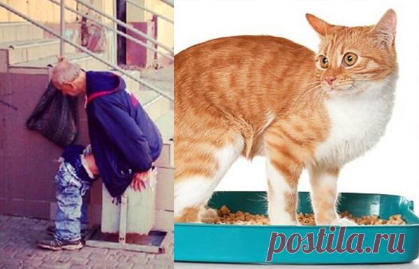 Какают с безразличием (Вольный перевод — насрал и ушёл).