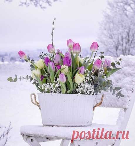 КАКОЙ СЕГОДНЯ ПРАЗДНИК? 10 Февраля 2020 г. – Понедельник • День памяти А. С. Пушкина • День домового (Кудесы) • День рождения утюга384 года • День рассматривания лиц • День памяти преподобного Ефрема Сирина • День дипломатического работника471 год • Всемирный день зернобобовых культур (World Pulses Day) • Международный день борьбы с эпилепсией (International Epilepsy Day) День зонтика (National Umbrella Day) - США • День очистки компьютера (National Clean Out Your Computer Day) - США •…