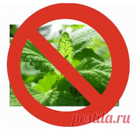 ОСТАНОВИТЬ ЗАРАЗУ ЕЩЕ НЕ ПОЗДНО! \Запрет лекарственных растений\ 