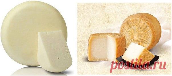 Рецепты сыров | Сыроделие