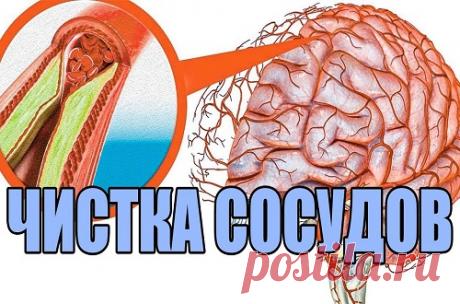 3 несложных рецепта народной медицины для сосудов головного мозга - Я ЗДОРОВ! - медиаплатформа МирТесен