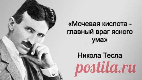 «Обед - лишний». Как питался гениальный изобретатель Никола Тесла, сохранивший до 86 лет ясность ума | Книга рецептов молодости | Дзен