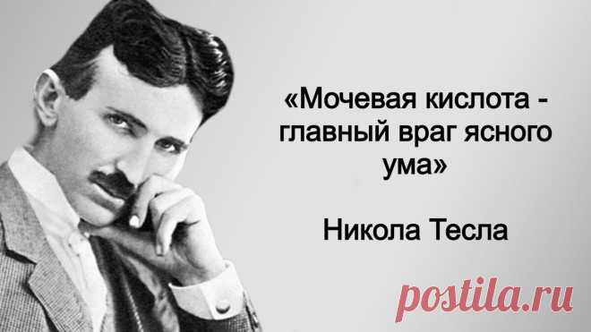 «Обед - лишний». Как питался гениальный изобретатель Никола Тесла, сохранивший до 86 лет ясность ума | Книга рецептов молодости | Дзен