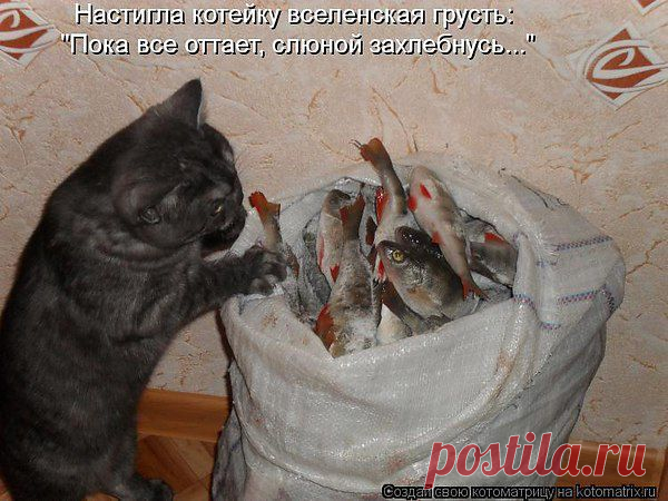 Интересные новости