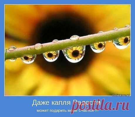 слово