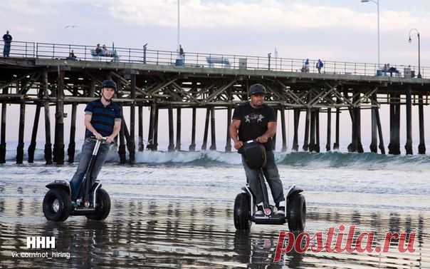 (+1) тема - Как заработать на прокате Segway: практический опыт | ДЕЛАЙ ДЕНЬГИ