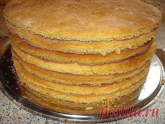 Как быстро приготовить коржи для торта?
Коржи для торта в количестве девять - десять штук можно приготовить всего за пол часа. 
Затем взбить или сварить крем, промазать коржи и получится вкуснейший торт.
Ингредиенты: двести грамм сметаны и одна чайная ложечка соды 
пищевой, плюс двести грамм сахарного песка и три стакана муки.
Приготовление: сметана перекладывается в емкость 
стеклянную, добавляется сода и сметана с содой перемешивается. Сметана от воздействия соды начинает бурно реагировать, на