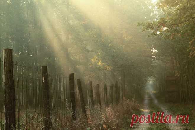 road