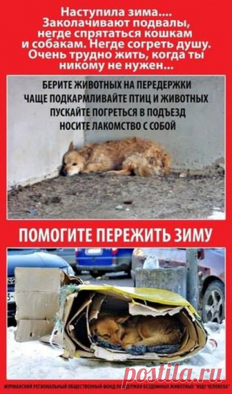 (1) Ирина Малий