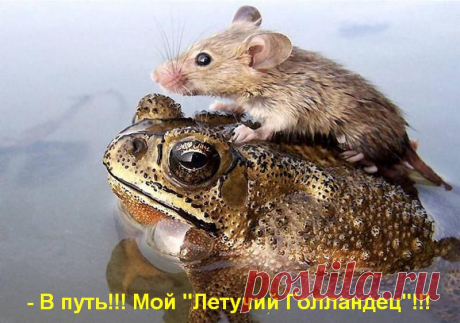 выживаем как можем