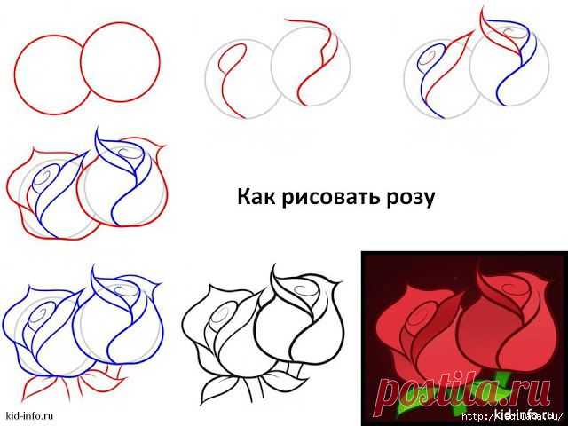 21 вариант как рисовать розу