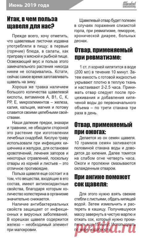 Польза щавеля