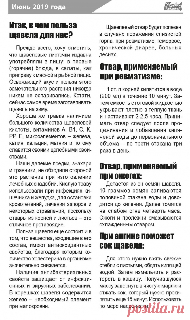 Польза щавеля
