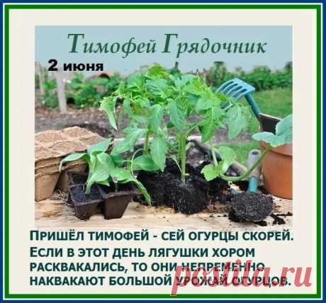 Пусть будет здоровье,
Пусть будет удача,
Чтоб стать чуть мудрее,
Немного богаче.
