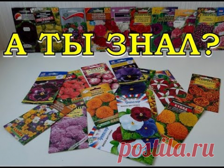 ЦВЕТЫ на рассаду в АПРЕЛЕ🌷 🌹⚘🌻💐