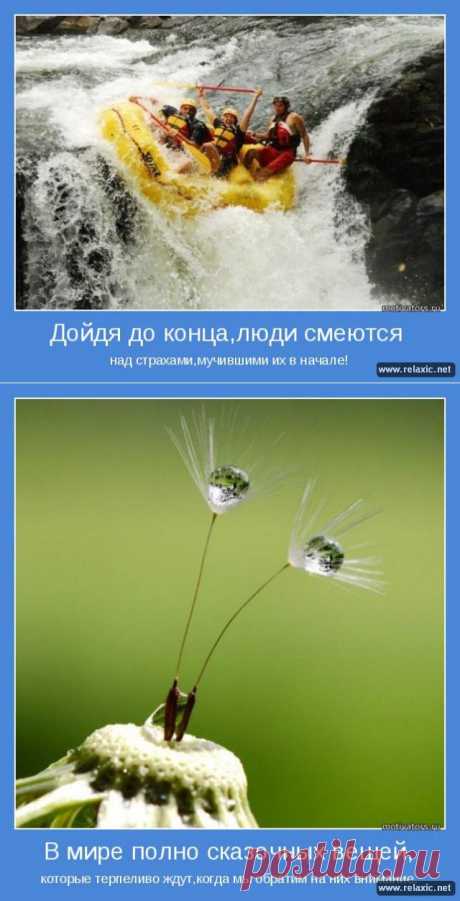 Позитивные мотиваторы (115 штук) | Релаксик