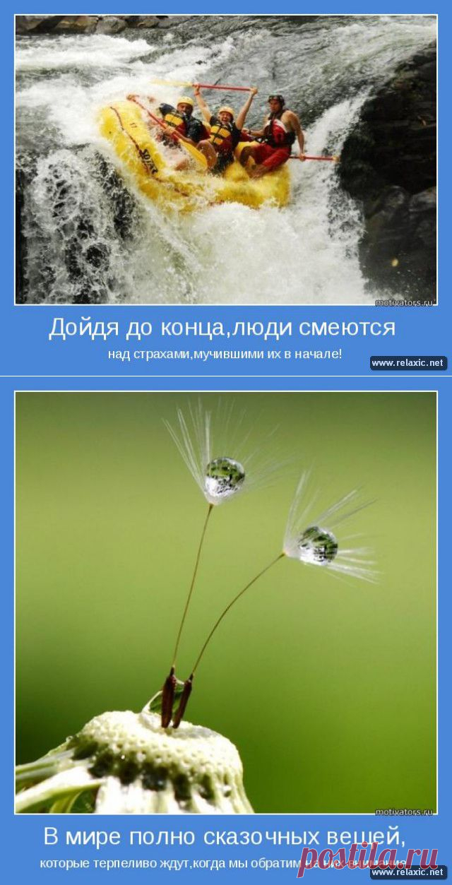 Позитивные мотиваторы (115 штук) | Релаксик