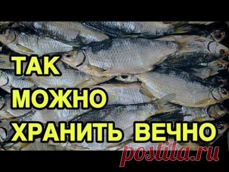 Как солить и хранить воблу и любую другую рыбу Вобла в Астрахани ловится неделю, а сохранить ее нужно на целый год. В этом видео о том, как солить, вялить и хранить воблу, да и любую другую рыбу.Засолку р...