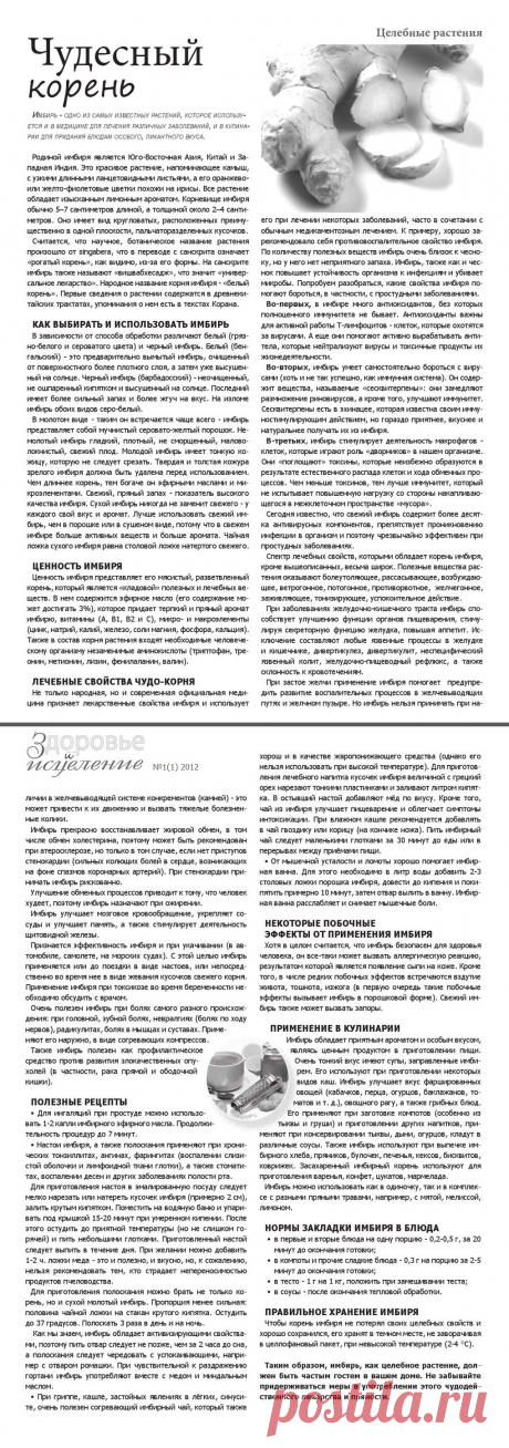 Имбирь - чудесный корень