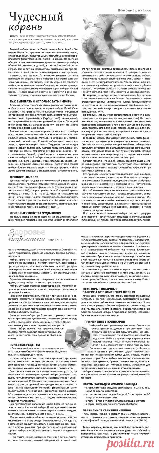Имбирь - чудесный корень
