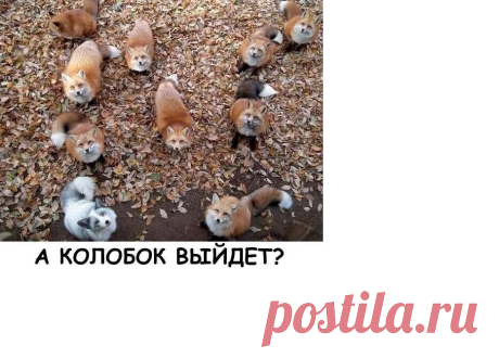 Выпуск №7017 - выпуск анекдотов сайта вокруг смеха