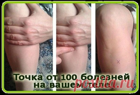 Точка долголетия от ста болезней (Цзу-сан-ли, Е36)