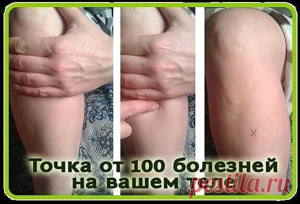 Точка долголетия от ста болезней (Цзу-сан-ли, Е36)