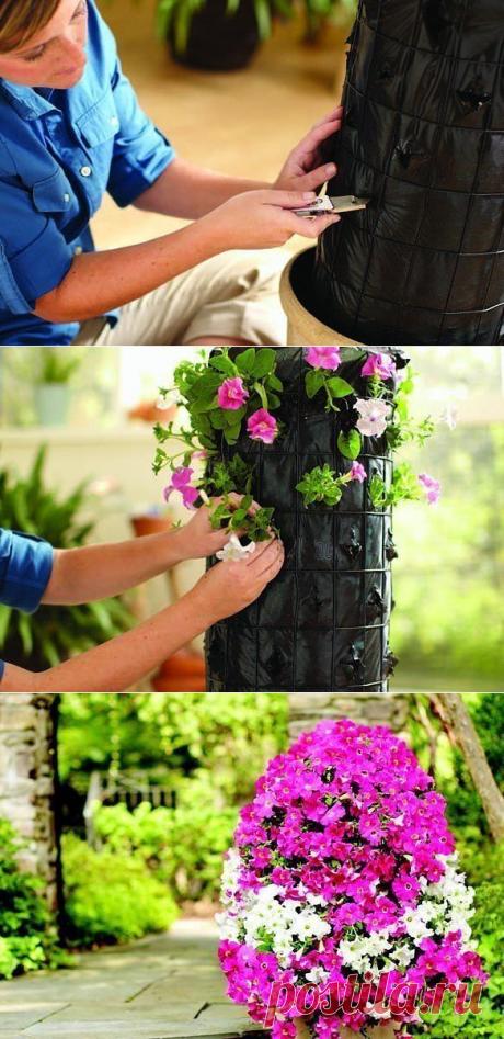 (48) Одноклассники