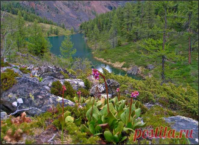 Panoramio - Photo of Озеро Куюктанар