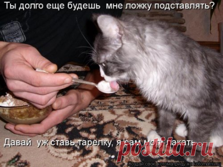 Котоматрица новая и прикольная (37 фото) Свежая коллекция прикольных котоматриц, которые вызовут улыбку и поднимут настроение! Всем прекрасного дня!




















 
 




















Источник:
https://prikol.mediasole.ru/kotomatric…