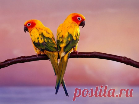 Мой Мир@Mail.Ru