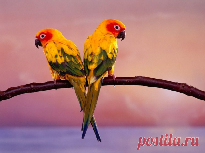 Мой Мир@Mail.Ru