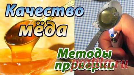 Проверка натуральности мёда.