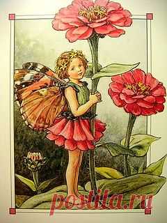 The Zinnia Fairy | Flickr - Photo Sharing!