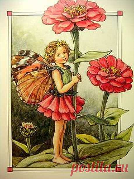 The Zinnia Fairy | Flickr - Photo Sharing!