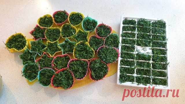Как я замораживаю зелень — Домашняя кулинария
