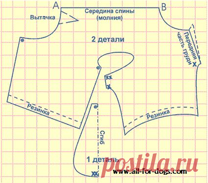 Выкройки одежды для собачек