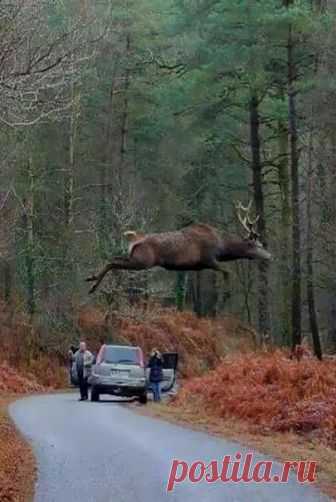 (91) Facebook