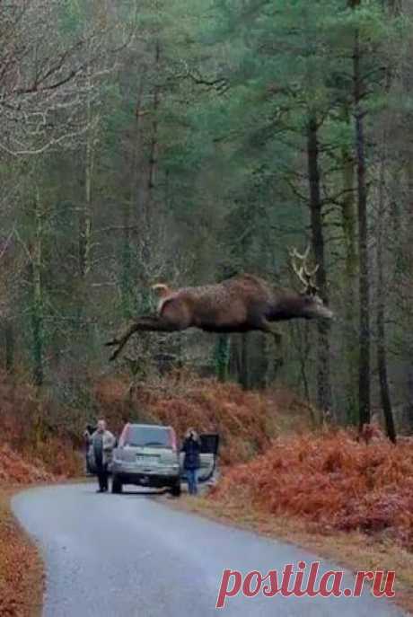 (91) Facebook