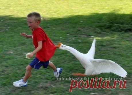 (50) Одноклассники