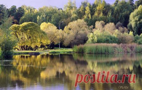 Vic906 — «Свечение перед дождём» на Яндекс.Фотках