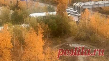 В Якутске снесли монумент памяти ссыльных и репрессированных поляков. Памятник ссыльным и репрессированным полякам демонтировали в Якутске. Об этом сообщает ТАСС. На месте монумента остались только разрушенный постамент с лестницей. В составе скульптурной композиции были несколько больших камней, где ...