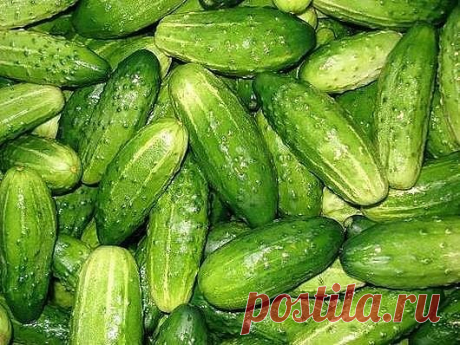 3 непрочитанных чата