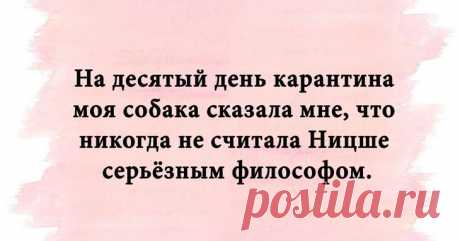 Смешные надписи для чудесного настроения