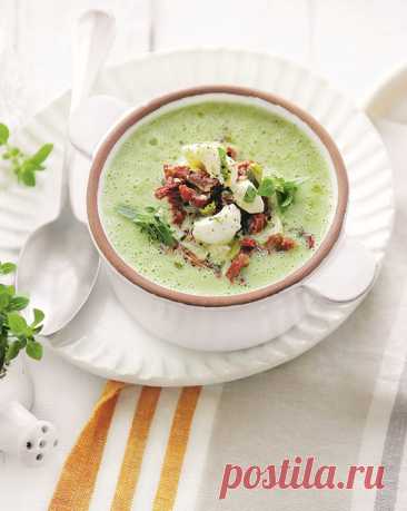 Холодный огуречный суп с моцареллой Лето – главное время для холодных супов. Когда же еще наслаждаться их свежестью и заряжаться энергией молодых овощей и зелени в тарелке? Сейчас или никогда!