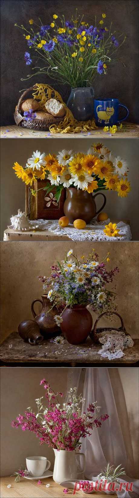 Eleonora Grigorjeva - Профиль пользователя - фото.сайт - Photosight.ru