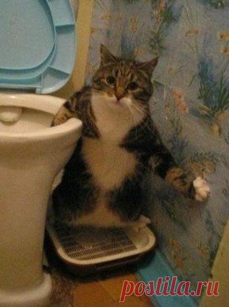 Не видишь что ли, занято! Дверь закрой!